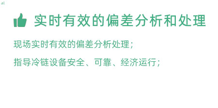 實(shí)時(shí)有效的偏差分析和處理：實(shí)時(shí)有效的偏差處理； 指導(dǎo)冷鏈設(shè)備安全、可靠、經(jīng)濟(jì)運(yùn)行；